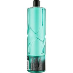 Шампунь Ekolan Diamond 2 в 1 1000 г (4820217131993) - Картинка 2