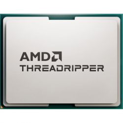  AMD Ryzen Threadripper 7960X (100-100001352WOF)