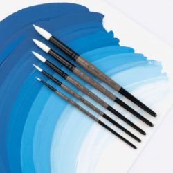 �������� ��� ��������� Rosa ��������� �������, MOON 1203R, �0 (4823098533948) - �������� 5