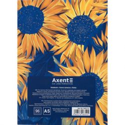 ����� ������� Axent UA � �5 ������� ������ ���������� 96 ������� (8455-3-A) - �������� 5