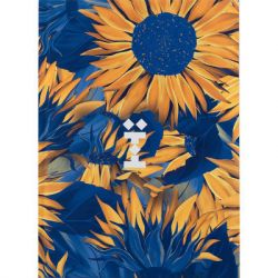   Axent UA  5    96  (8455-3-A)