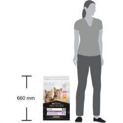 ����� ���� ��� ���� Purina Pro Plan Original Kitten � ������ 10 �� (7613036505307) - �������� 4