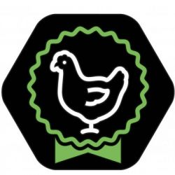 Сухий корм для собак Purina Pro Plan Small&Mini Puppy з куркою та рисом 7 кг (7613035123366) - Картинка 5