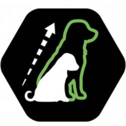 Сухий корм для собак Purina Pro Plan Small&Mini Puppy з куркою та рисом 7 кг (7613035123366) - Картинка 6