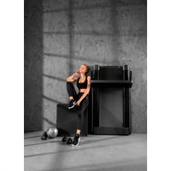 ������ ������ Kingsmith Treadmill K15 Silver Grey (TRK15F) - �������� 6