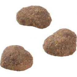 ������ ��� ���� Brit Care Superfruits Lamb 100 � - ���� (8595602555697) - �������� 4