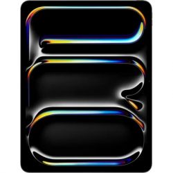 ������� Apple iPad Pro 13" M4 WiFi 256GB with Standard glass Space Black (MVX23NF/A) - �������� 2