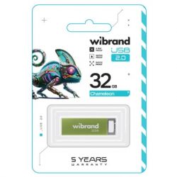 USB Flash Drive 32Gb Wibrand Chameleon, Light Green (WI2.0/CH32U6LG) - Картинка 2