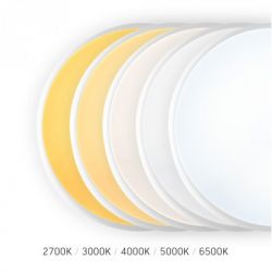 ��������� Videx VL-CLR-EM300-2 - �������� 8