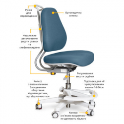 ������ ����� Evo-kids Mio Ergo Lite Dark blue (Y-507 Lite DB) - �������� 2