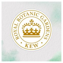 Маска для волос Herbal Essences Кокос Питательная 300 мл (8700216209922) - Картинка 4