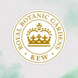 Кондиционер для волос Herbal Essences Апельсин Для объема волос 250 мл (8700216210317) - Картинка 3