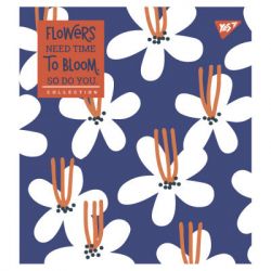 ������� Yes �5 Need time 24 ������ ������ (766840)