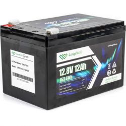 Батарея для ДБЖ Батарея LiFePo4 Longttech LiFePO4 12.8V - 12Ah (LAR1212-LT12-R32) - Картинка 4
