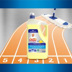 ���� ��� ����� ������ Mr. Proper Professional ������������� ����� 5 � (8700216250313) - �������� 5