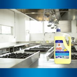 ���� ��� ����� ������ Mr. Proper Professional ������������� ����� 5 � (8700216250313) - �������� 6