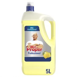     Mr. Proper Professional   5  (8700216250313)