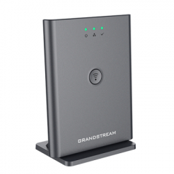 VoIP-���� Grandstream DP755 - �������� 2