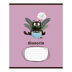 ������� ZiBi ����� ����������� CRAZY CAT 48 ������ ������ 10 ����, 8 ��������� (ZB.1703-99) - �������� 5