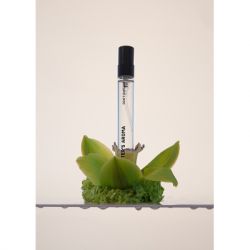 ��������������� ���� Sister's Aroma Don't Explain Travel 10 �� (4820227783069) - �������� 4