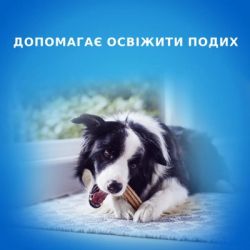 ������ ��� ����� Purina DentaLife Small ��� �������� ������'� ��������� ���� 115 � (8445291614550) - �������� 2
