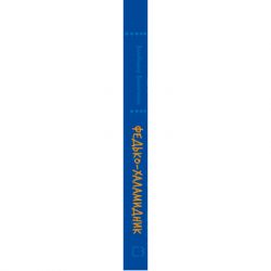 Книга Федько-халамидник. Оповідання - Володимир Винниченко BookChef (9786175482698) - Картинка 2