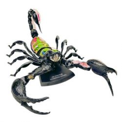 ���� 4D Master Master ������� (FM-622033) - �������� 2