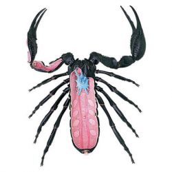 ���� 4D Master Master ������� (FM-622033) - �������� 3