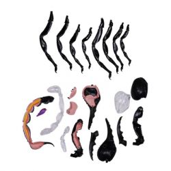 ���� 4D Master Master ������� (FM-622033) - �������� 5