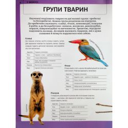 ����� ������ ����� ������ - ������ ����� Vivat (9786171704794) - �������� 8