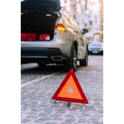 ���� ����������� Poputchik � ������������� ��-1 "����������" (��-1+����+�������+�����) (33-016-IS) - �������� 6