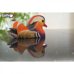 ���� Eugy 3D ������� ���������� (XEG-096) - �������� 5