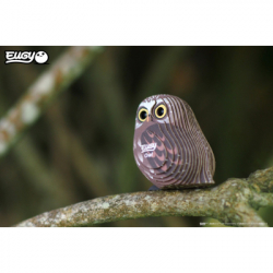 ���� Eugy 3D ������� ���� (XEG-044) - �������� 10