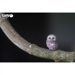 ���� Eugy 3D ������� ���� (XEG-044) - �������� 6