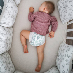 ϳ Offspring Tangy Orange  M 6-10  42  (DP-OI-FAT-M42P-TGYORN) -  4