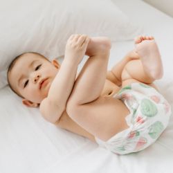 ϳ������ Offspring Tangy Orange ����� S 3-6 �� 48 �� (DP-OI-FAT-S48P-TGYORN) - �������� 12