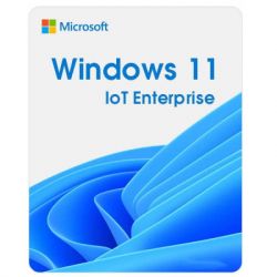   Microsoft Windows 11 IoT Enterprise LTSC 2024 Perpetual, Commercial, OneTime (DG7GMGF0PP49_0001)