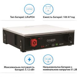 ������� ��� ��� ������� LiFePo4 Dyness 48V - 100 Ah (DL5.0C) - �������� 2