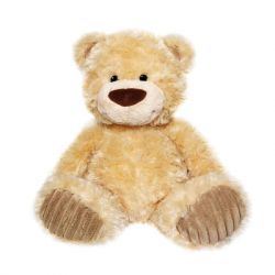 '  Aurora   36  (131020F)