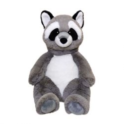 '  Aurora  35  (240071F)