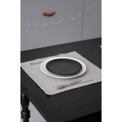      Silver 4040  (037584)