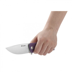 ͳ� Ganzo G769-PL - �������� 6