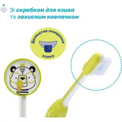 ������� ������ ����� Chicco 3-6 ���, 2 ��. (12084.11) - �������� 5