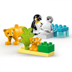Конструктор LEGO DUPLO Town Семейства диких животных: Пингвины и Львы (10442) - Картинка 3