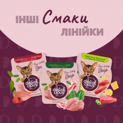 Влажный корм для кошек Delickcious Суп из сардины с креветками и добавлением тыквы 80 г (4820269141568) - Картинка 7