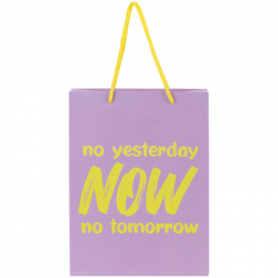 ������������ ����� Axent ��������� NOW 18�24 �� (8501-27-A) - �������� 2