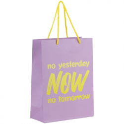 ������������ ����� Axent ��������� NOW 18�24 �� (8501-27-A)