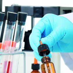 ������ Edding Paint 1-2 �� ������� ������ (e-751/01) - �������� 3