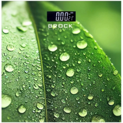 ���� ������� Brock BS 003
