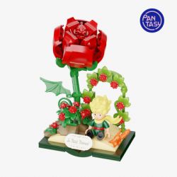 Конструктор Pantasy Le Petit Prince -Звездный путь-Pоза (86317) - Картинка 4